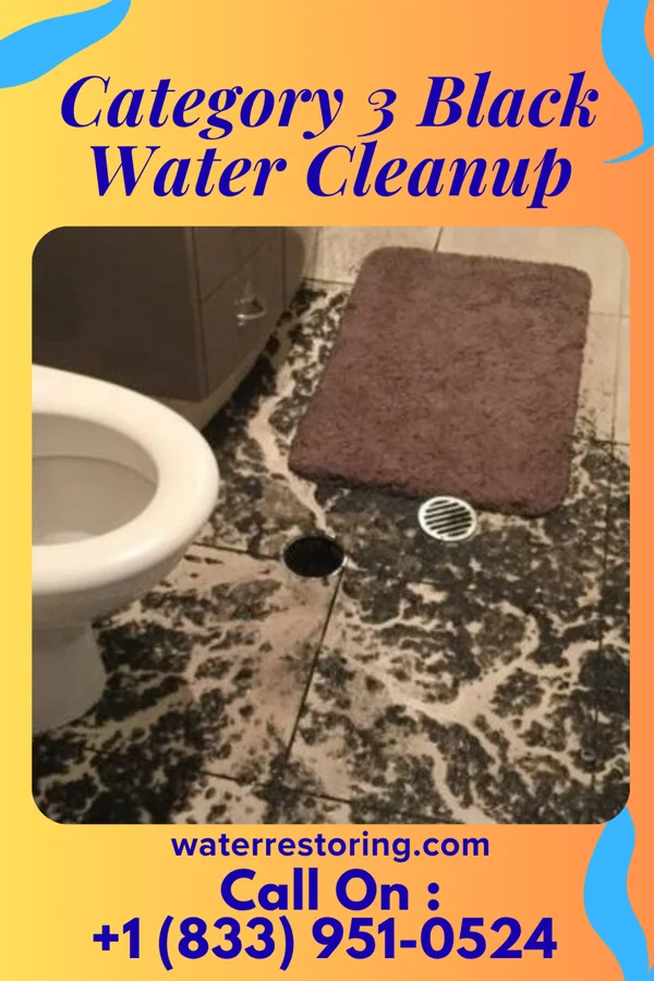 Category 3 Black Water Cleanup in Rushmore, MN