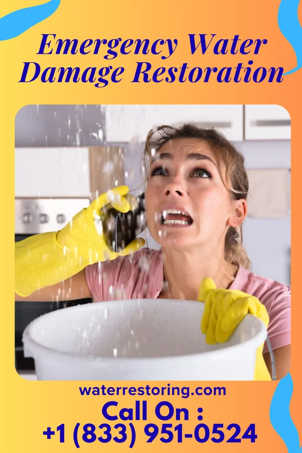 Emergency Water Damage Restoration in Rushmore, MN