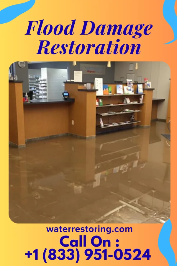 Flood Damage Restoration in Rushmore, MN