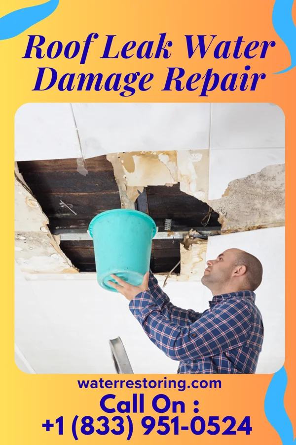Roof Leak Water Damage Repair in Rushmore, MN