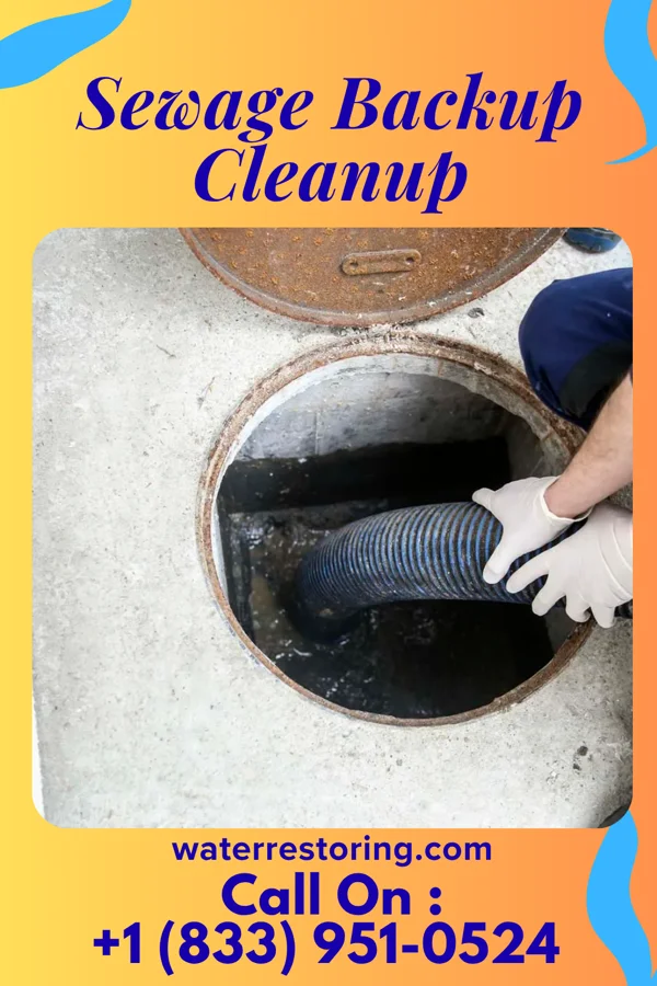 Sewage Backup Cleanup in Rushmore, MN